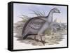 Cape Barren Goose (Cereopsis Novaehollandiae)-John Gould-Framed Stretched Canvas