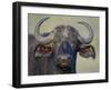 Cape Buffalo, Lake Nakuru National Park-James Hager-Framed Photographic Print