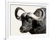 Cape Buffalo, Masai Mara National Reserve, Kenya, East Africa-James Hager-Framed Photographic Print