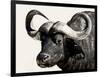 Cape Buffalo, Masai Mara National Reserve, Kenya, East Africa-James Hager-Framed Premium Photographic Print