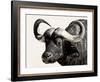 Cape Buffalo, Masai Mara National Reserve, Kenya, East Africa-James Hager-Framed Photographic Print