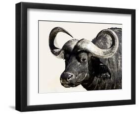 Cape Buffalo, Masai Mara National Reserve, Kenya, East Africa-James Hager-Framed Photographic Print