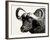 Cape Buffalo, Masai Mara National Reserve, Kenya, East Africa-James Hager-Framed Photographic Print