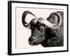 Cape Buffalo, Masai Mara National Reserve, Kenya, East Africa-James Hager-Framed Photographic Print