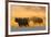 Cape buffalo (Syncerus caffer) herd, Zimanga private game reserve, KwaZulu-Natal, South Africa, Afr-Ann and Steve Toon-Framed Photographic Print