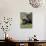 Cape Buffalo (Syncerus Caffer), with Redbilled Oxpecker, Kruger National Park, South Africa, Africa-Ann & Steve Toon-Photographic Print displayed on a wall