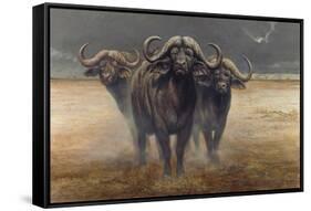 Cape Buffalos-Harro Maass-Framed Stretched Canvas