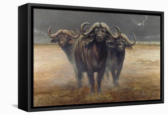 Cape Buffalos-Harro Maass-Framed Stretched Canvas