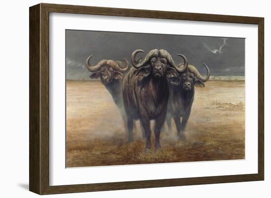 Cape Buffalos-Harro Maass-Framed Premium Giclee Print