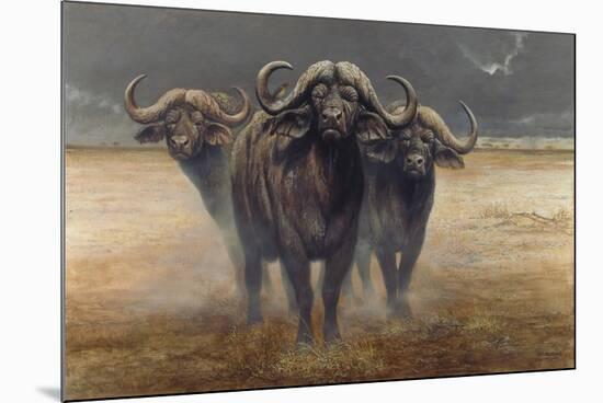 Cape Buffalos-Harro Maass-Mounted Giclee Print