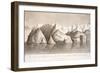 Cape Byam Martin-John Ross-Framed Giclee Print