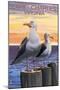 Cape Charles, Virginia - Seagulls-Lantern Press-Mounted Art Print