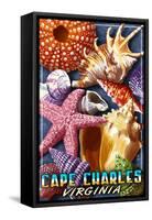 Cape Charles, Virginia - Shell Montage-Lantern Press-Framed Stretched Canvas