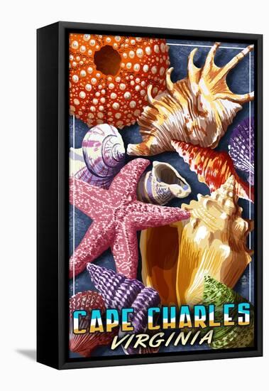 Cape Charles, Virginia - Shell Montage-Lantern Press-Framed Stretched Canvas