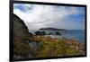 Cape Clear Island from Sherkin Island, County Cork, Ireland-null-Framed Photographic Print