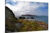 Cape Clear Island from Sherkin Island, County Cork, Ireland-null-Stretched Canvas