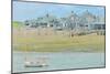 Cape Cod 06-Joost Hogervorst-Mounted Art Print