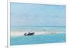 Cape Cod 09-Joost Hogervorst-Framed Art Print