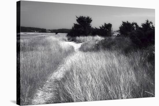 Cape Cod 2-Robert Seguin-Stretched Canvas