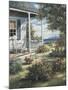 Cape Cod Coastal View-unknown Chiu-Mounted Art Print