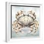 Cape Cod Crab-Nicole DeCamp-Framed Art Print