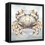 Cape Cod Crab-Nicole DeCamp-Framed Stretched Canvas