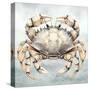 Cape Cod Crab-Nicole DeCamp-Stretched Canvas