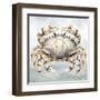 Cape Cod Crab-Nicole DeCamp-Framed Art Print