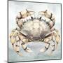 Cape Cod Crab-Nicole DeCamp-Mounted Art Print