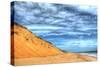 Cape Cod Dune and Colors 2-Robert Goldwitz-Stretched Canvas