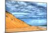Cape Cod Dune and Colors 2-Robert Goldwitz-Mounted Photographic Print