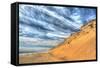 Cape Cod Dune and Colors-Robert Goldwitz-Framed Stretched Canvas