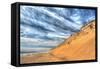 Cape Cod Dune and Colors-Robert Goldwitz-Framed Stretched Canvas