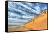 Cape Cod Dune and Colors-Robert Goldwitz-Framed Stretched Canvas