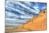 Cape Cod Dune and Colors-Robert Goldwitz-Mounted Photographic Print