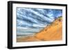 Cape Cod Dune and Colors-Robert Goldwitz-Framed Photographic Print