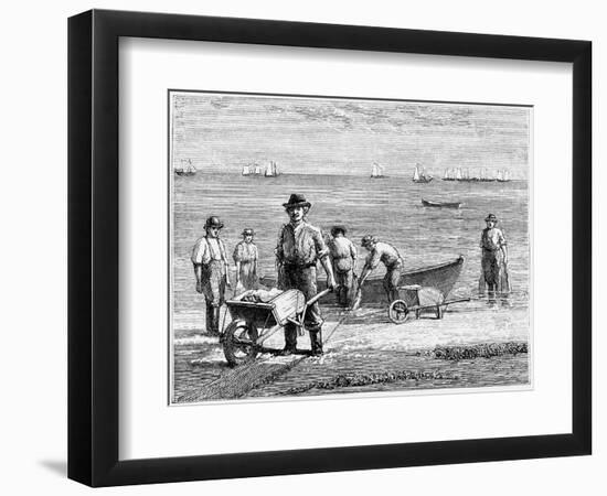 Cape Cod Fisherman Washing Fish, 1875-null-Framed Giclee Print