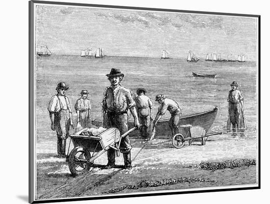Cape Cod Fisherman Washing Fish, 1875-null-Mounted Giclee Print