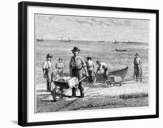 Cape Cod Fisherman Washing Fish, 1875-null-Framed Giclee Print