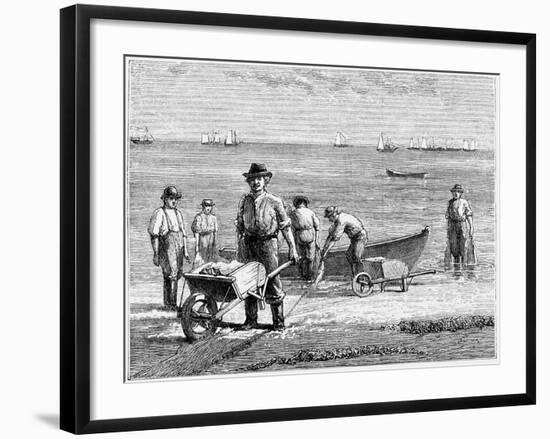 Cape Cod Fisherman Washing Fish, 1875-null-Framed Giclee Print