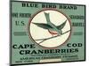 Cape Cod, Massachusetts - Blue Bird Brand Cranberry Label-Lantern Press-Mounted Art Print