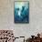 Cape Cod, Massachusetts - Great White Shark-Lantern Press-Framed Stretched Canvas displayed on a wall