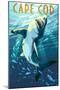 Cape Cod, Massachusetts - Great White Shark-Lantern Press-Mounted Art Print