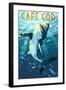 Cape Cod, Massachusetts - Great White Shark-Lantern Press-Framed Art Print