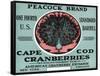 Cape Cod, Massachusetts - Peacock Brand Cranberry Label-Lantern Press-Framed Stretched Canvas