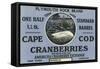 Cape Cod, Massachusetts, Plymouth Rock Brand Cranberry Label-Lantern Press-Framed Stretched Canvas