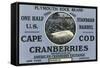 Cape Cod, Massachusetts, Plymouth Rock Brand Cranberry Label-Lantern Press-Framed Stretched Canvas