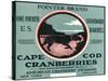 Cape Cod, Massachusetts - Pointer Brand Cranberry Label-Lantern Press-Stretched Canvas