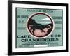 Cape Cod, Massachusetts - Pointer Brand Cranberry Label-Lantern Press-Framed Art Print