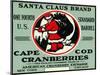 Cape Cod, Massachusetts - Santa Claus Brand Cranberry Label-Lantern Press-Mounted Art Print